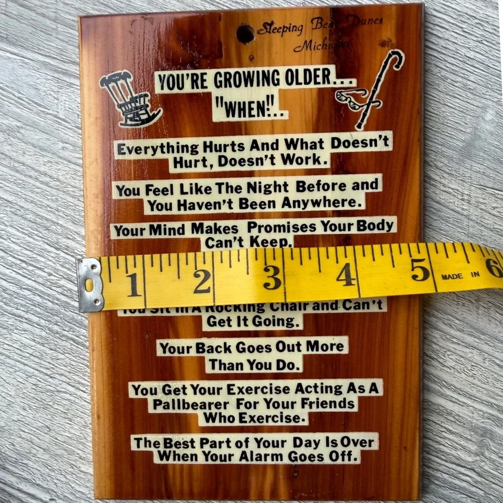 Vintage Sleeping Bear Dunes Michigan Cedar Wood Plaque Funny Growing Older Sign